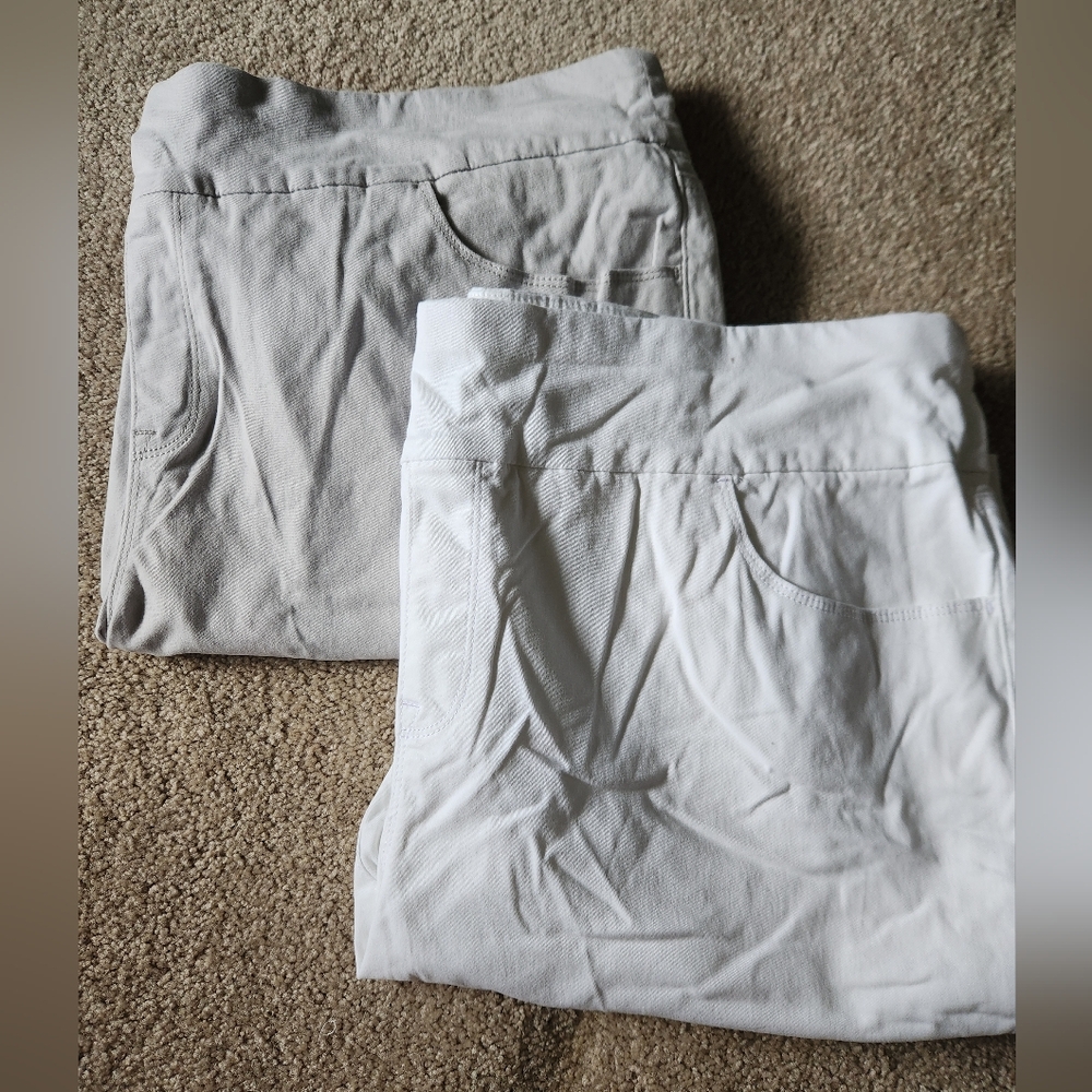 Bundle Of 2 Gloria Vanderbilt Women's Shorts - White and Light Gray Size 20W